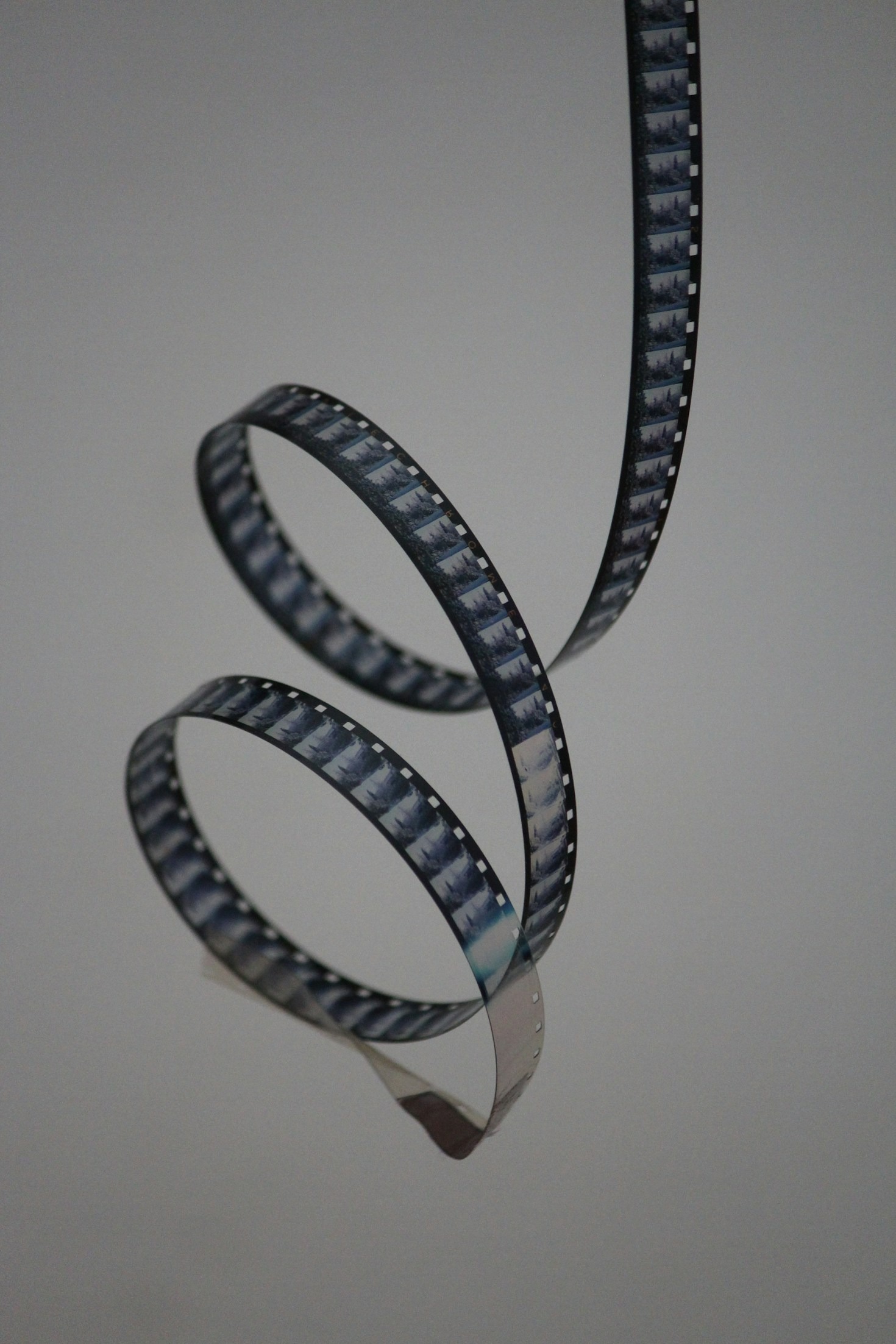 The Director’s Vision: Bringing Truth to Life